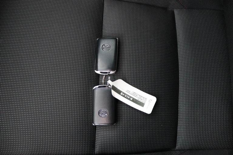 Mazda CX-30 - 2.0 e-SkyActiv-X M Hybrid Homura 14