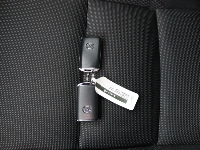 Mazda CX-30 - 2.0 e-SkyActiv-X M Hybrid Homura