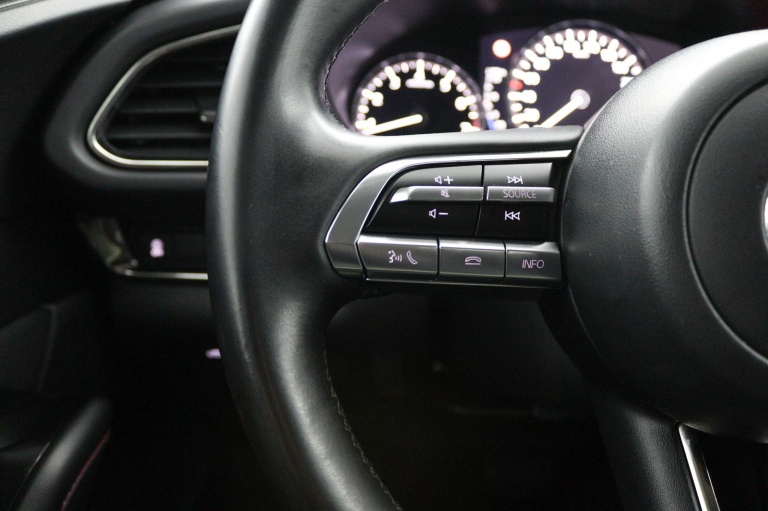 Mazda CX-30 - 2.0 e-SkyActiv-X M Hybrid Homura 31