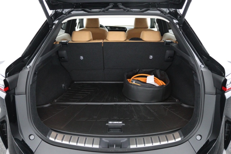 Lexus RZ - 350e Luxury Line 77 kWh 22