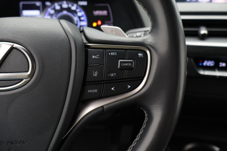 Lexus UX - 300e 54 kWh 22