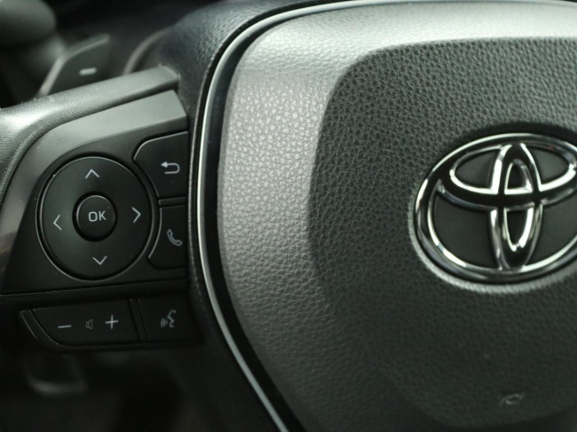 Toyota RAV4 - 2.5 Hybrid AWD Bi-Tone
