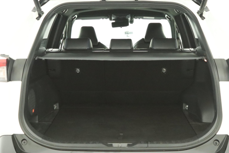 Toyota RAV4 - 2.5 Hybrid AWD Bi-Tone 23