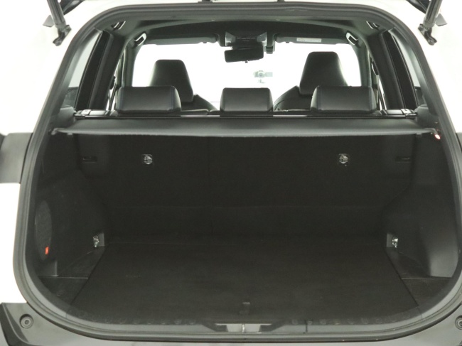 Toyota RAV4 - 2.5 Hybrid AWD Bi-Tone