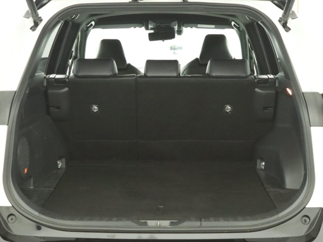 Toyota RAV4 - 2.5 Hybrid AWD Bi-Tone