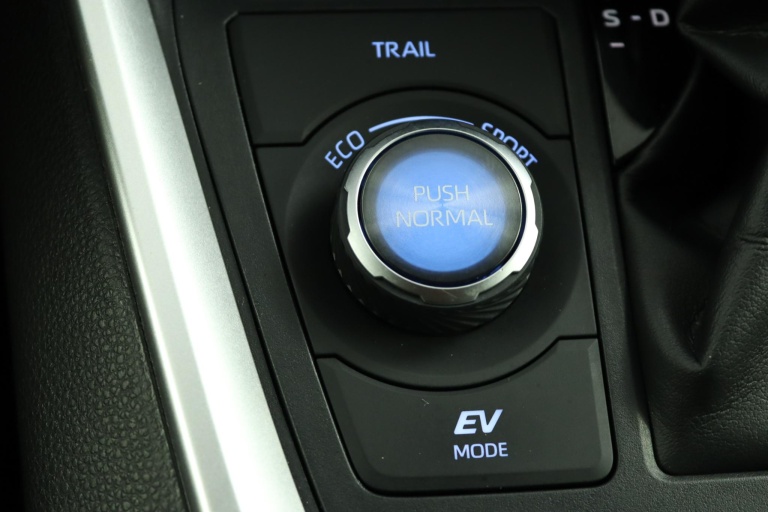 Toyota RAV4 - 2.5 Hybrid AWD Bi-Tone 70