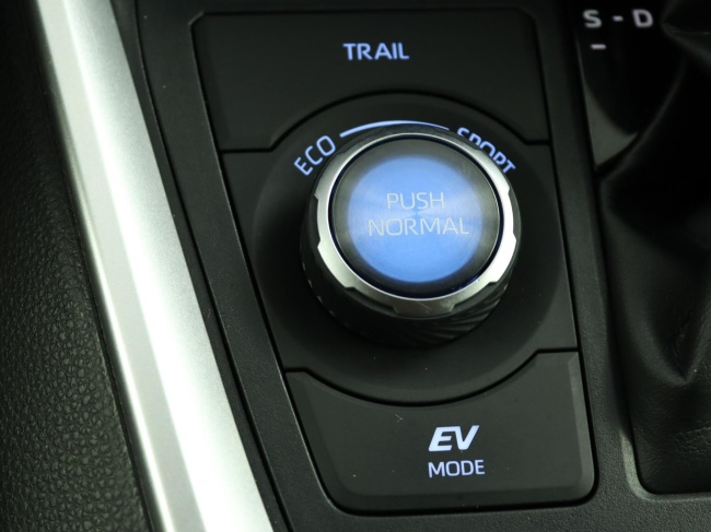 Toyota RAV4 - 2.5 Hybrid AWD Bi-Tone