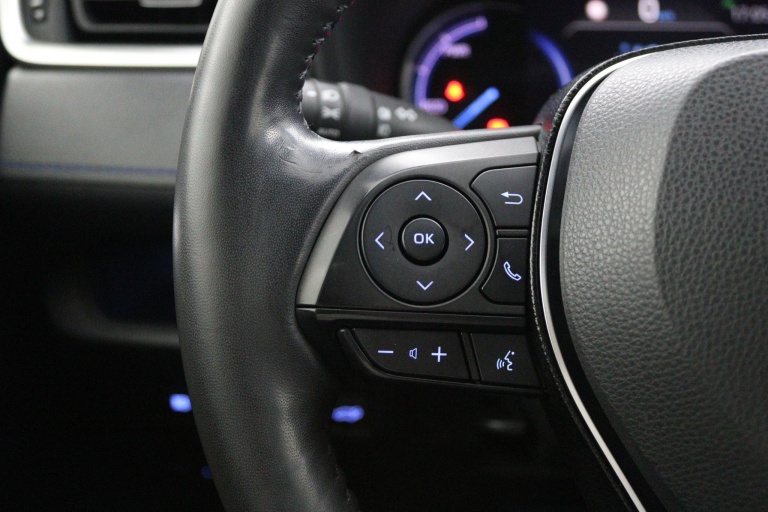 Toyota RAV4 - 2.5 Hybrid AWD Bi-Tone 19