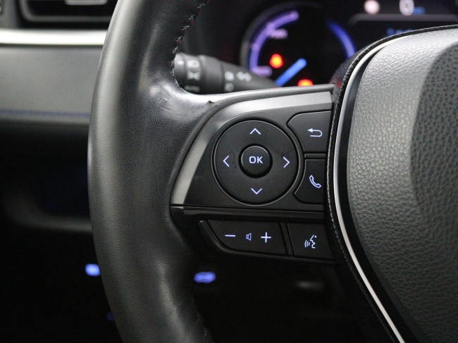 Toyota RAV4 - 2.5 Hybrid AWD Bi-Tone