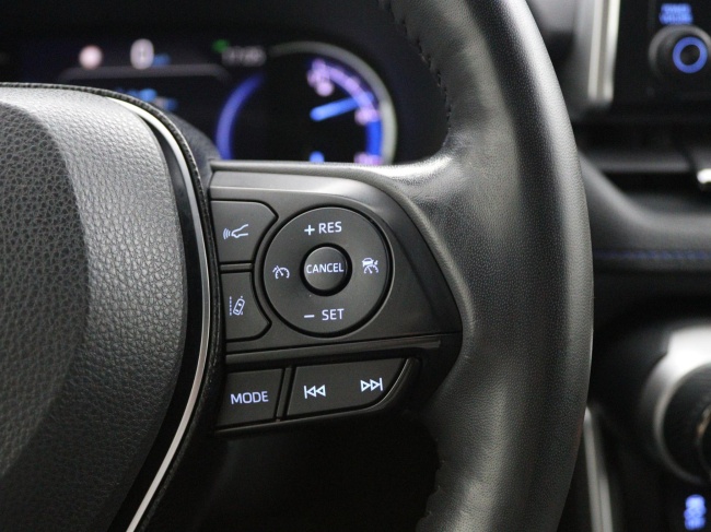 Toyota RAV4 - 2.5 Hybrid AWD Bi-Tone