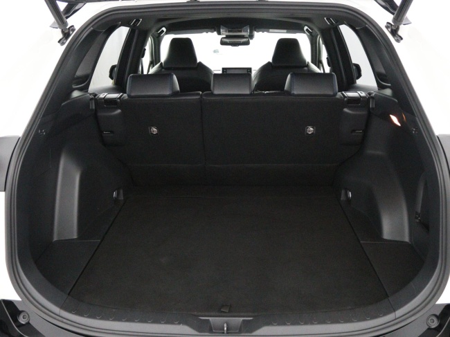 Toyota RAV4 - 2.5 Hybrid AWD Bi-Tone