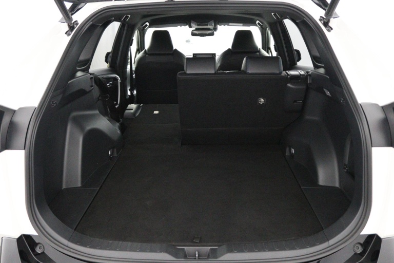 Toyota RAV4 - 2.5 Hybrid AWD Bi-Tone 24