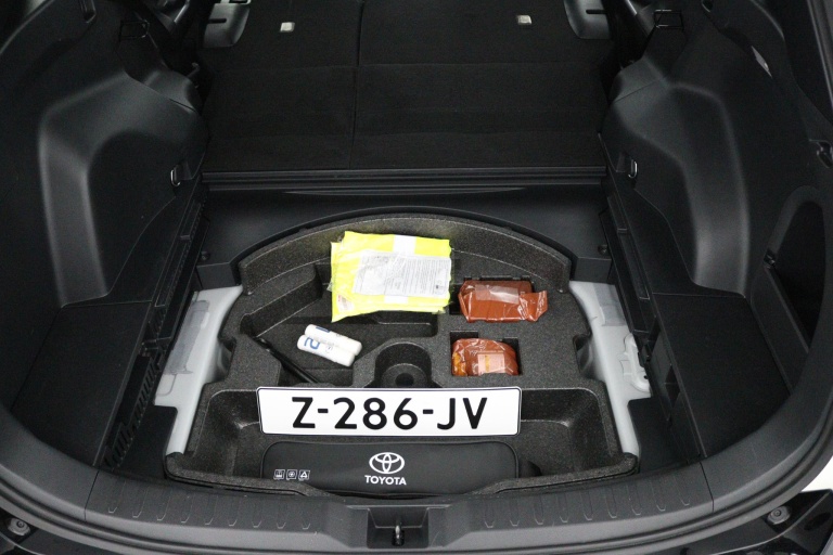 Toyota RAV4 - 2.5 Hybrid AWD Bi-Tone 33