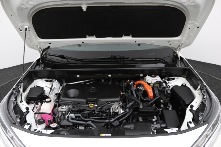 Toyota RAV4 - 2.5 Hybrid AWD Bi-Tone 34
