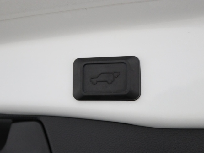 Toyota RAV4 - 2.5 Hybrid AWD Bi-Tone