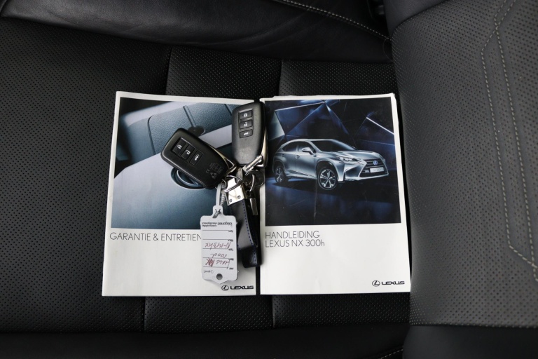 Lexus NX - 300h AWD President Line 11