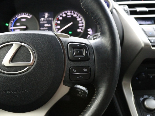 Lexus NX - 300h AWD President Line