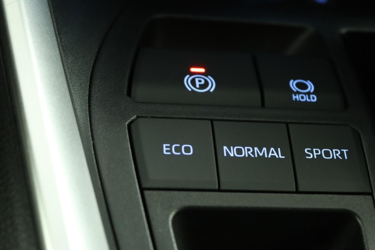 Toyota RAV4 - 2.5 Hybrid Bi-Tone 66