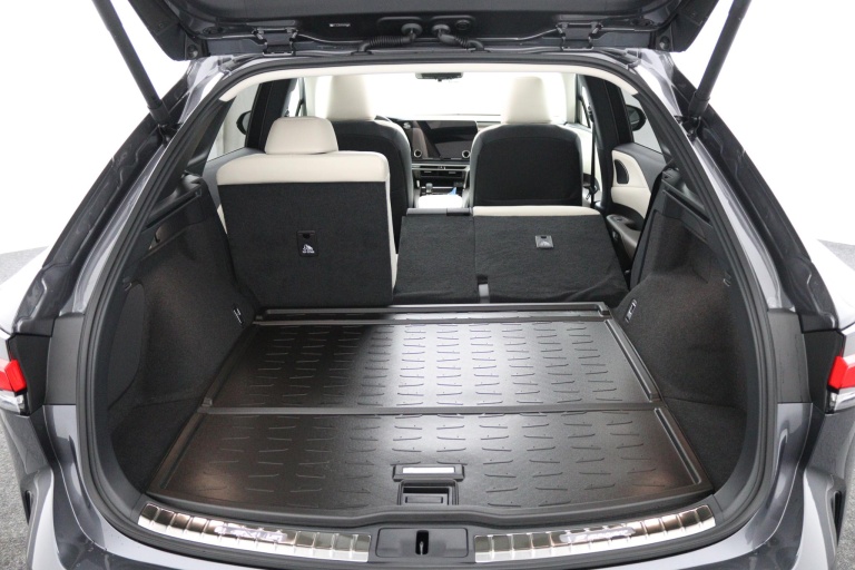 Lexus RX - 450h+ Plug-in Hybrid 35th Edition 24