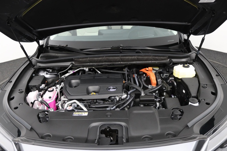 Lexus RX - 450h+ Plug-in Hybrid 35th Edition 34