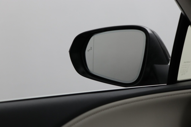 Lexus RX - 450h+ Plug-in Hybrid 35th Edition 53