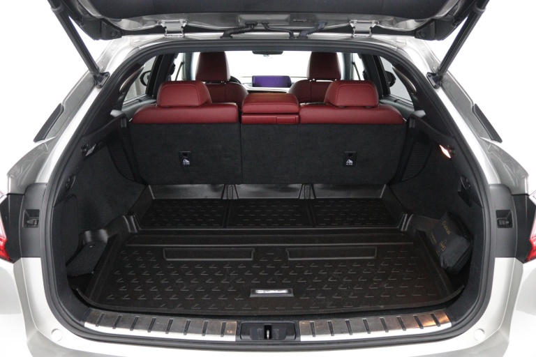 Lexus RX - 450h 4WD F Sport Line 24