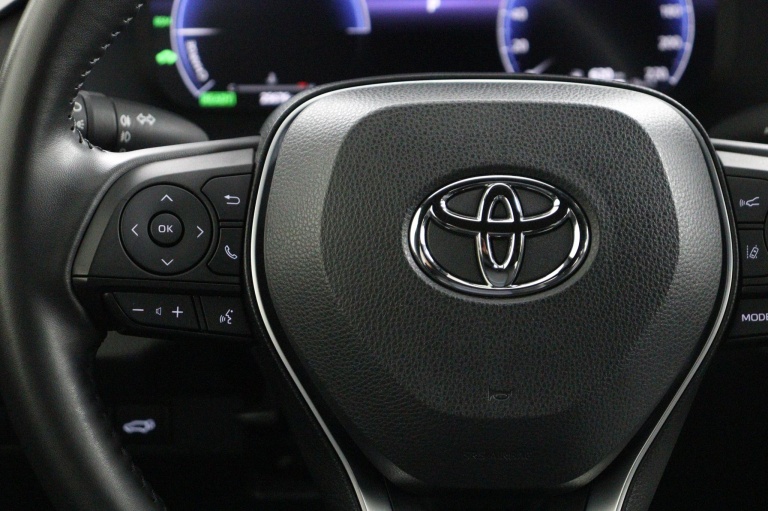Toyota RAV4 - 2.5 Hybrid AWD Bi-Tone 19