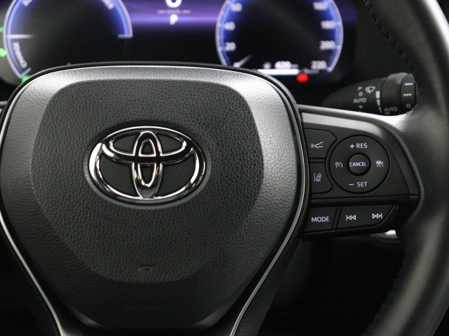 Toyota RAV4 - 2.5 Hybrid AWD Bi-Tone