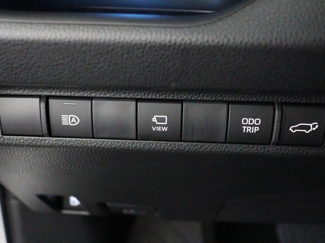 Toyota RAV4 - 2.5 Hybrid AWD Bi-Tone