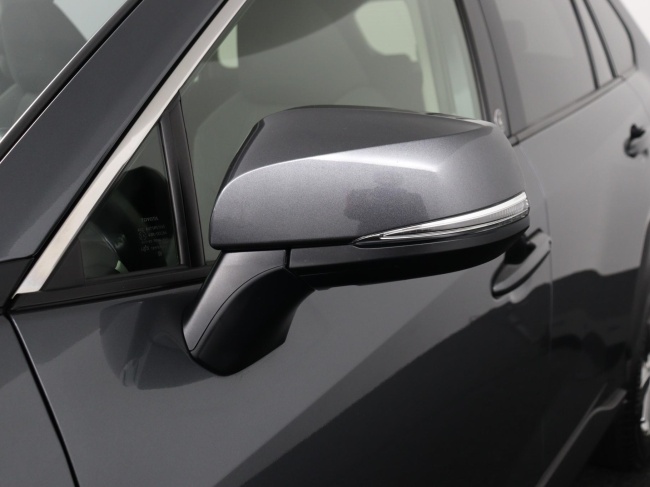 Toyota RAV4 - 2.5 Hybrid AWD Style