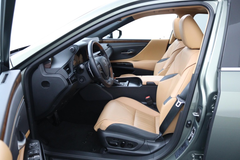 Lexus ES - 300h Executive Line 16