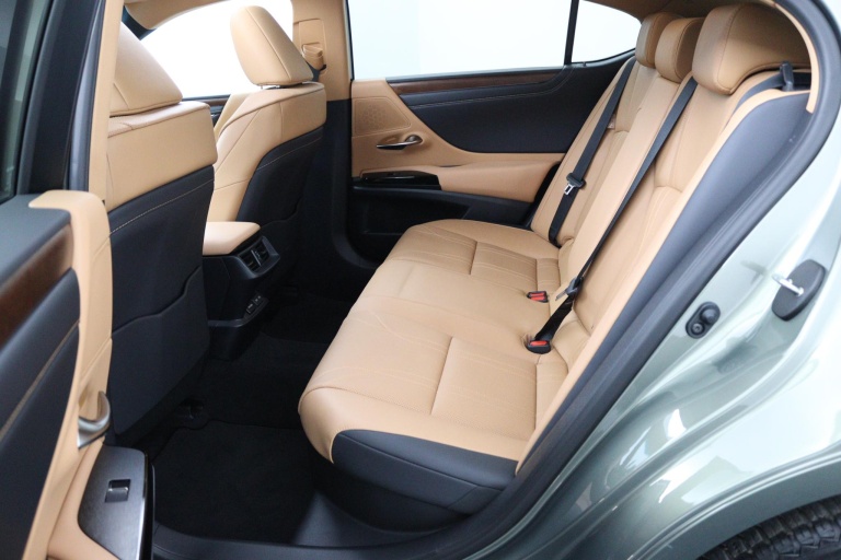 Lexus ES - 300h Executive Line 17