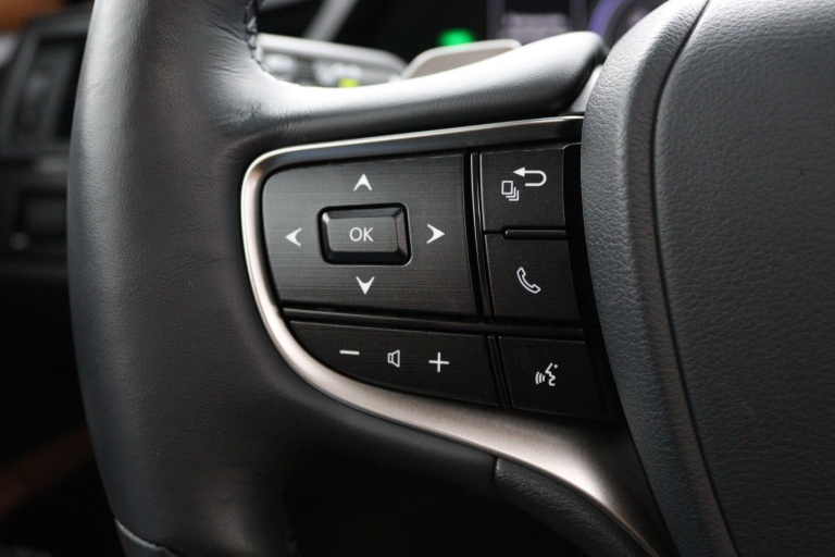 Lexus ES - 300h Executive Line 18