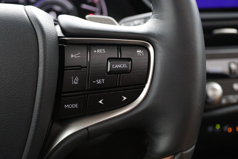 Lexus ES - 300h Executive Line 19