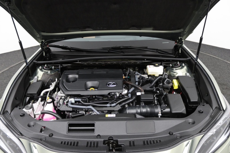 Lexus ES - 300h Executive Line 32