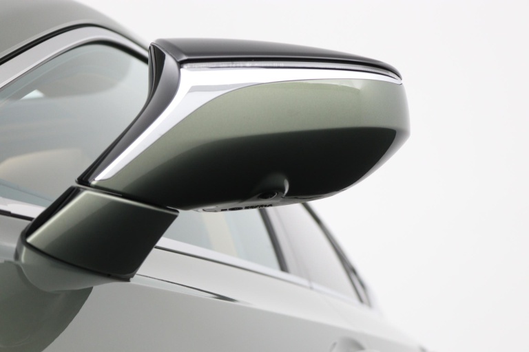 Lexus ES - 300h Executive Line 35