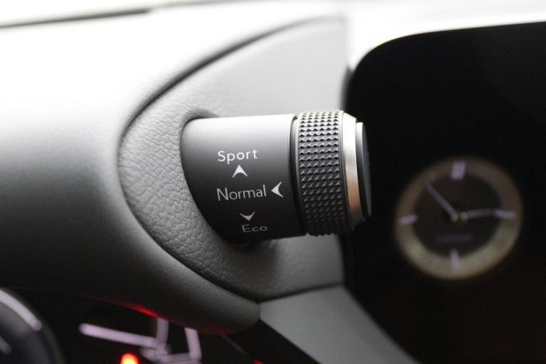 Lexus ES - 300h Executive Line 43