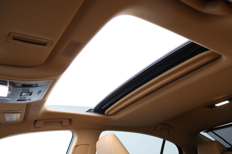 Lexus ES - 300h Executive Line 53