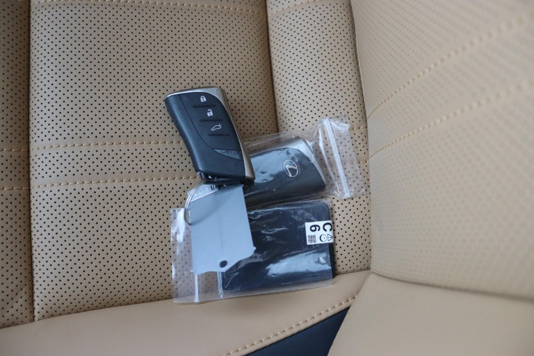 Lexus ES - 300h Executive Line 9