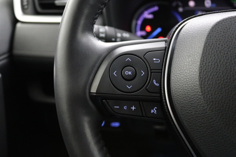 Toyota RAV4 - 2.5 Hybrid AWD Business Plus 19