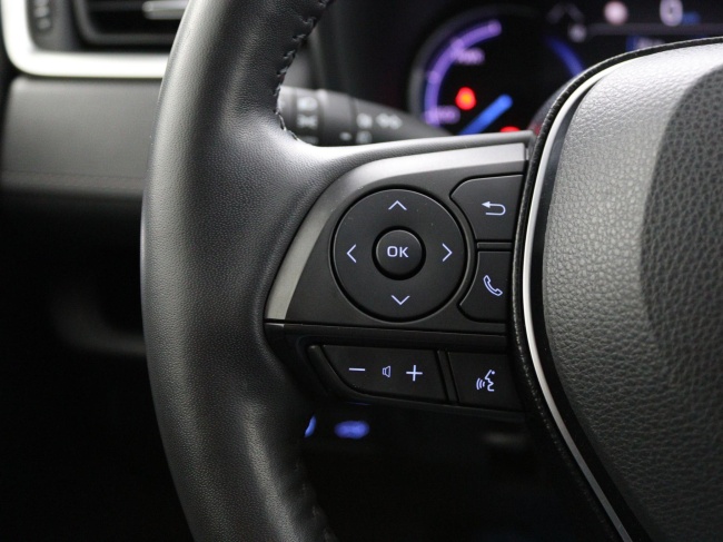 Toyota RAV4 - 2.5 Hybrid AWD Business Plus