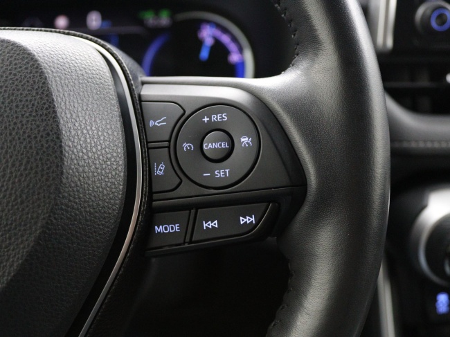 Toyota RAV4 - 2.5 Hybrid AWD Business Plus