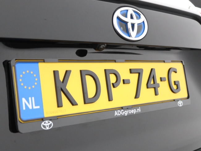 Toyota RAV4 - 2.5 Hybrid AWD Business Plus