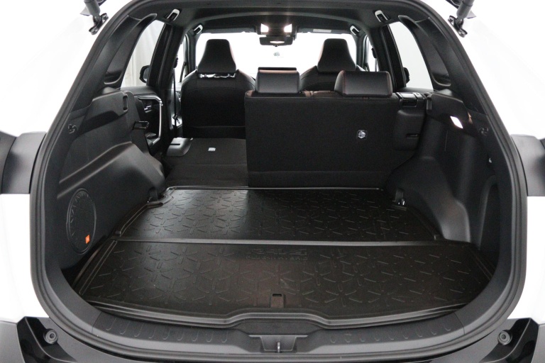 Toyota RAV4 - 2.5 Plug-in Hybrid AWD Bi-Tone Plus 24