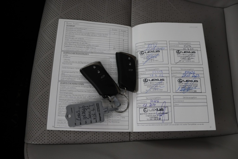 Lexus UX - 250h Executive Line 11