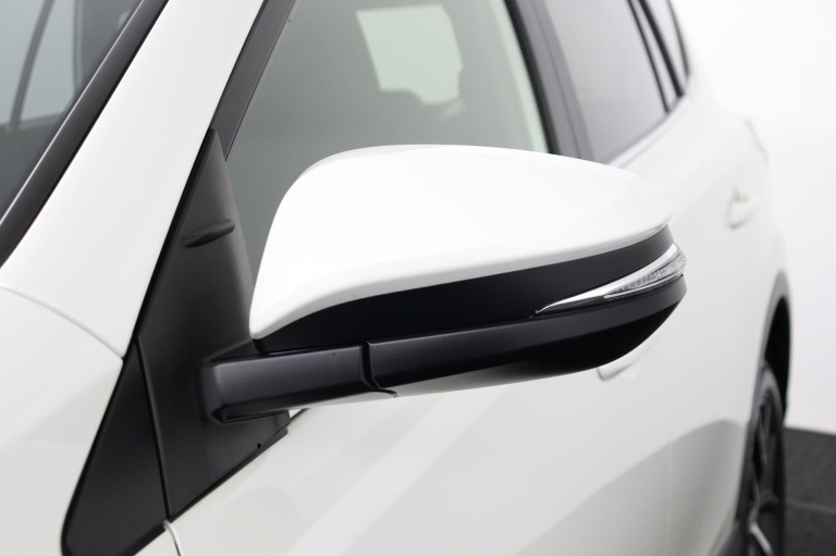 Toyota RAV4 - 2.5 Hybrid Executive 38