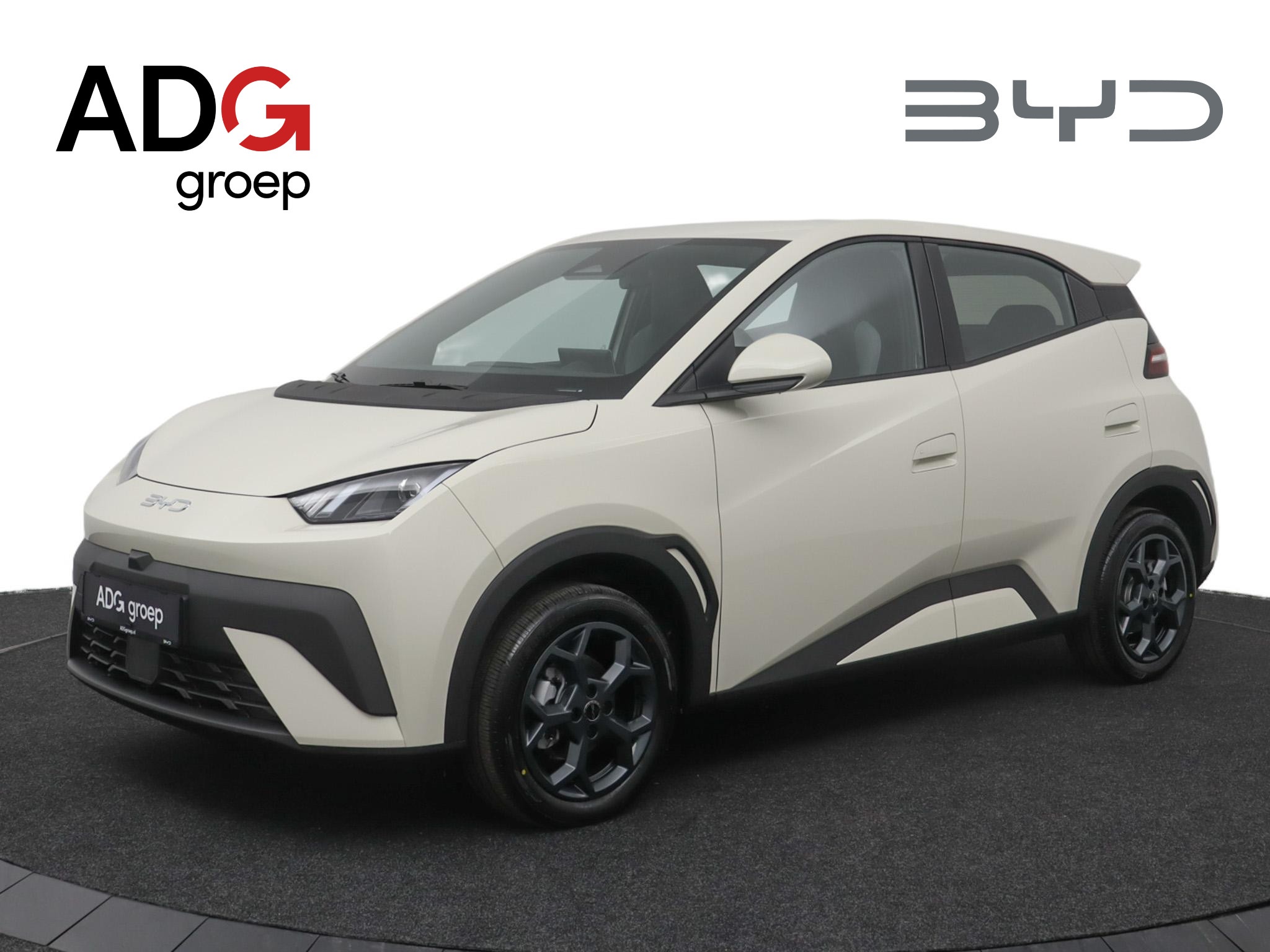 BYD DOLPHIN SURF - Boost 43 kWh