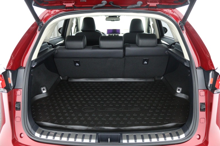 Lexus NX - 300h President Line Limited 23