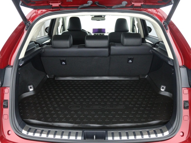 Lexus NX - 300h President Line Limited