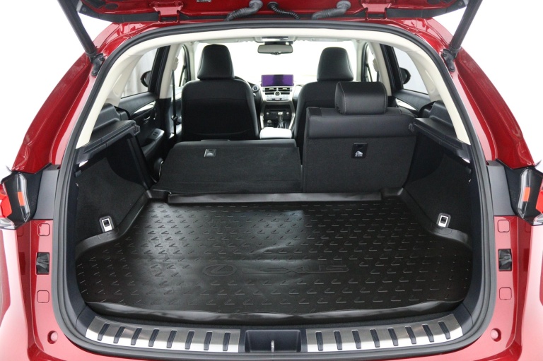 Lexus NX - 300h President Line Limited 24